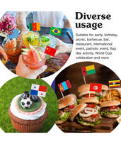 JIAHUI 100 cure-dents jetables écologiques en bambou, design drapeau national personnalisé pour restaurants et fêtes