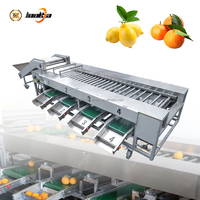 Industriële tomaten- en citrussorteermachine met automatische rollen, groente- en citrus sorteersysteem, industriële apparatuur
