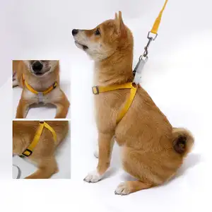 थोक कस्टम नायलॉन एस्केप प्रूफ पालतू कुत्ता हार्नेस पट्टा सेट छोटा टेडी डॉग वॉक कैट दैनिक उपयोग के लिए सॉफ्ट एच स्ट्रैप डिज़ाइन का उपयोग करें