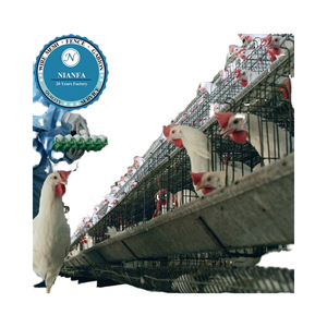 Jaula para Aves de Corral de 10000 Gallinas, Técnica de Malla Soldada, Pantalla Curvada Directamente, Fábrica de Guangzhou, Mercado de Ghana - Product Image 1