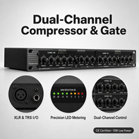 Compresseur limiteur double canal avec filtre anti-bruit 266XL 266XS 166XL 166XS pour les performances sur scène et l'enregistrement en studio