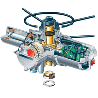 Pièce de rechange pour actionneur électrique Rotork IQ35, vanne à boisseau sphérique, vanne à globe, entretien, remplacement, OEM, certifié ATEX, usage industriel, alliage