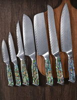 Coffret de Couteaux de Chef Professionnels Yangjiang, Lames en Acier Damas 67 Couches, 3,5-8 Pouces, Manche Écologique en Résine de Coquille
