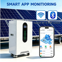 Livraison sécurisée, faible MOQ, batterie lithium 51.2V 200Ah 10kWh avec 16 cellules, onduleur solaire hybride 48V, batterie de stockage d'énergie domestique