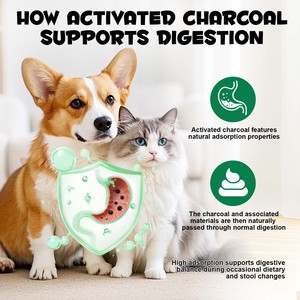 Oimmal Soins de Santé pour Animaux Naturel Végétalien 60ml Gel de <span class=keywords><strong>Charbon</strong></span> <span class=keywords><strong>Actif</strong></span> à Haute Adsorption pour Chiens et Chats Soutien Digestif Gel Oral - Product Image 4