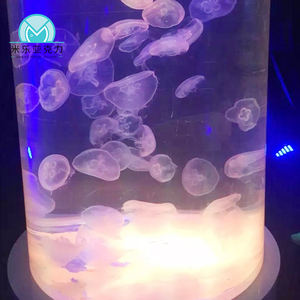 Fabbrica moderna discoteca bar mobili acrilico acquario pesci vivi per acquario - Product Image 6