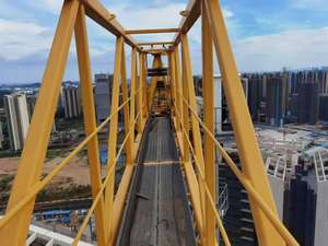 Nouvelle grue à tour à plateforme plate Zoomlion W7025-12E 2021 avec hauteur de travail autonome de 60 m, moteur et boîte de vitesses, capacité de levage de 12T - Product Image 4