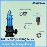 Pompe submersible industrielle verticale 15 CV 380 V 40 m pour le nettoyage des conduites d'égouts et des fosses minières, anti-colmatage et auto-amorçante