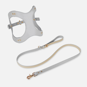 طقم أحزمة ومقود للكلاب الأليفة من جلد البولي يوريثلين بنمط عادي فاخر - Product Image 3