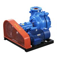 Pompa Cuci Pasir Paduan Krom Tinggi Pompa Transfer Slurry Pompa Listrik Industri 7.5 HP Motor Tiga Fasa Sambungan Flens