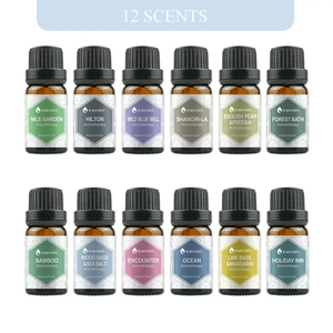 <span class=keywords><strong>Parfum</strong></span> à base d'<span class=keywords><strong>eau</strong></span> 10ml <span class=keywords><strong>parfum</strong></span> huile essentielle humidificateur huile aromatique Relax air frais marque privée OEM - Product Image 3