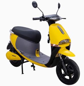 Moto électrique 1000W pour adultes Meilleure moto électrique pour les déplacements quotidiens Moteur 10 pouces Vitesse maximale 50 km/h Type électronique - Product Image 2