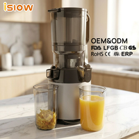 SJ-023 Groothandel 5.12'' brede invoeropening slowjuicer voor hele fruit en groenten, makkelijk schoon te maken, koudpers juicer OEM/ODM