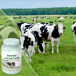 OEM/ODM capsule Private Label di colostro bovino | 100% puro supporto immunitario in polvere di colostro nutrito con erba della Nuova Zelanda e salute intestinale - Product Image 2