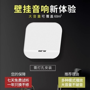 SAST C12 Wireless Wall Mounted Speaker <b>70</b>-134W Stereo Output For Restaurants Conferences Gyms Shops - Product Image 4