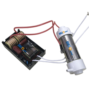 1 Gam/giờ Máy Tạo <span class=keywords><strong>Ozone</strong></span> Ống Thạch Anh Máy Tạo <span class=keywords><strong>Ozone</strong></span> Để Làm Sạch Không Khí Và Nước Spa KHT-1GQA1 <span class=keywords><strong>Ozone</strong></span> 110V/220V/A2 DGOzone - Product Image 1