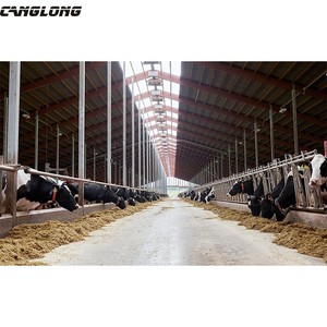 Qingdao מודרני עיצוב פלדת מבנה בקר פרה חלב חליבת shed החווה בניין - Product Image 3