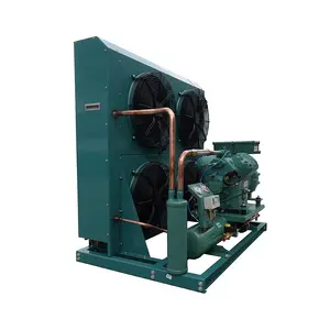 Luchtgekoelde Condensatie-Eenheid Met Originele Groene Compressor Koelcompressor Voor Koude Ruimte