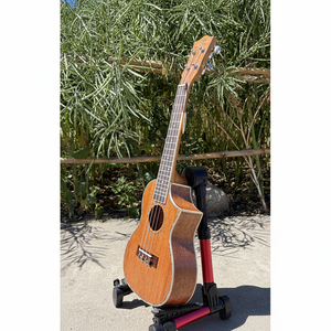 Ukelele <span class=keywords><strong>de</strong></span> Concierto Aiersi <span class=keywords><strong>de</strong></span> 24 Pulgadas con Tapa <span class=keywords><strong>de</strong></span> Caoba Sólida, Forma Cutaway, Cuerdas Bajas en Sol, Buena Calidad, Fábrica China - Product Image 1