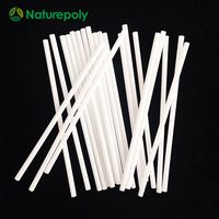 Pajitas PLA Envasadas Individualmente, Libres de PFAS, Sostenibles, Biodegradables, a Base de Plantas, para Hoteles y Fiestas