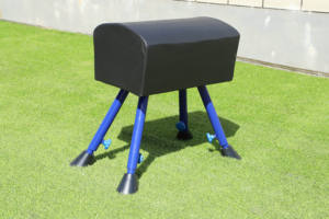 شعار مخصص قبو الأطفال معدات الجمباز الخاصة للأطفال لتدريب الماعز - Product Image 5