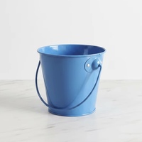 Seau en fer blanc de qualité alimentaire peint avec poignée, imprimé offset, pour jardin et ustensiles de cuisine, idéal pour Pâques