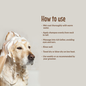 Champú Suave con Fragancia Natural The Paw and Play, Champú General para Mascotas, para <span class=keywords><strong>Perros</strong></span> y Gatos, 500 ml - Product Image 6