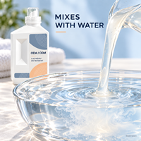 Détergent à lessive liquide en bouteille PET ou HDPE, emballage OEM, étiquette privée, fourniture pour les marques de produits de lavage et les lignes de produits de vente au détail