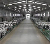 Bâtiment préfabriqué en acier clé en main pour bétail/ovins avec aménagement flexible