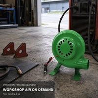 Souffleur de gazéification ZL 80W 66m³/h 5800 tr/min avec roulement à billes, pale en fonte, moteur en cuivre 100-240V pour petit four et équipement de soudage