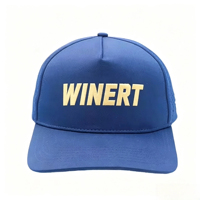 Gorras de Béisbol Personalizadas con Logotipo Bordado en 3D, Estilo Deportivo, de Algodón, para Correr, Golf, con Corte Láser y Perforaciones, para Hombre