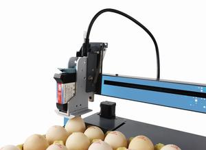 XY110 macchina automatica per la codifica delle uova stampa di lastre intere data di produzione numero di serie stampante a inchiostro per uova TIJ - Product Image 5