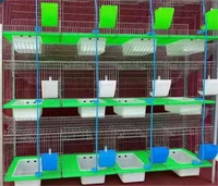 Nouvelle cage à lapins automatique de type H avec nichoir en acier galvanisé à 2 niveaux pour mère et bébé, facile à nettoyer pour une utilisation à la ferme ou à la maison