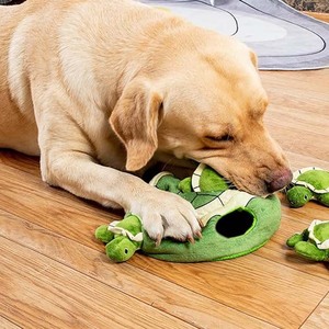 Jouet pour chien Eek Squeaky Puzzle interactif Jouet pour chiot en peluche Tortue (coquille + 5 tortues)-Jouet à mâcher pour animaux de compagnie - Product Image 6