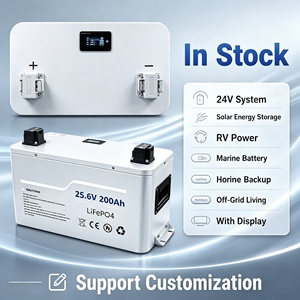 Solis 24V 200Ah 5kWh Hybrid Grid Solar <b>Battery</b> Storage with LiFePO4 Deep Cycle Built-in BMS Wall-<b>Mounted</b> for RV EU Stock - Product Image 1