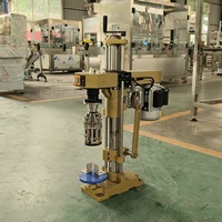 Mesin Penutup Botol Anggur untuk Tutup Aluminium, Mesin Penutup Botol Anggur dengan Sekrup, Mesin Penutup Botol Spirit/Whisky