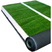 New Grass Seide ist weich gemahlenes Teppich gras für Volleyball platz
