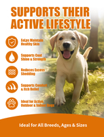 Pevet Premium Coat Guard Soft Chews : Réduit la perte de poils, renforce la peau, apaise et stimule l'immunité – Soin quotidien pour animaux de compagnie à base de betterave et de lin naturels