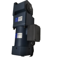 250W AC angle droit arbre creux micro motoréducteur monophasé 220V avec protection thermique réducteur haute vitesse
