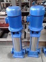 Pompa Sentrifugal Multistage Vertikal DL, Pompa Booster Air dengan Head Tinggi 150m untuk Pasokan Air Gedung Bertingkat & Pemadam Kebakaran
