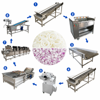 Industriële lijn voor het verwerken van uien, industriële groentesnijmachine, industriële fruitwasmachines, industriële groenteverwerkingslijn