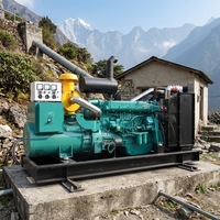 Groupe électrogène diesel Weifang Ricardo 200KW 250KVA triphasé 50Hz 60Hz certifié Euro 3 pour la centrale hydroélectrique de montagne du Népal
