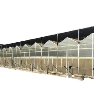 FM Prefab Tomato Planting Glass Green House Agricultural Mushroom Used Greenhouse Cooling System Parts Accessories For Sale