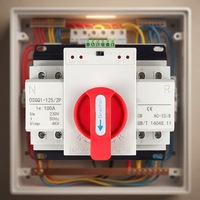 Commutateur de transfert automatique et manuel 2P ATS 100A AC230V à double alimentation haute sécurité pour armoire de générateur domestique, certifié CE, compatible OEM