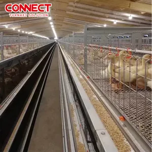 Ensemble complet automatique d'oeufs de poule équipement agricole grande capacité pondeuse coq poules élevage de volailles système de cage pour poulette