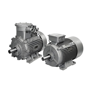 มอเตอร์ไฟฟ้าแรงสูง 630 กิโลวัตต์ 3 กิโลโวลต์ รุ่น 1LA4404-6AN30-Z+B20 1000 รอบต่อนาที 6 โพล สำหรับอุตสาหกรรมหนัก แบบสามเฟส 1LA4404-6AN30-Z 1LA4404-6AN3 - Product Image 4