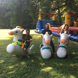 Chevaux gonflables durables et étanches pour les jeux sportifs de course - Product Image 1