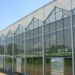 cheap commercial price glass greenhouse hydroponic growing made in China