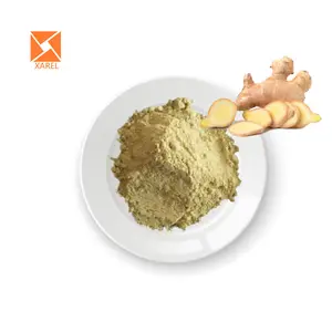 Top Grade 5% Gingerol Dry Ginger Root Extract Powder For Sale Ginger Powder