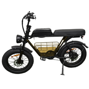 Bicicleta eléctrica para adultos lista para la venta Ruihe S1 Fat bike 20 pulgadas Motor sin escobillas ebike 48V Electric Off Road Bike para hombres - Product Image 3